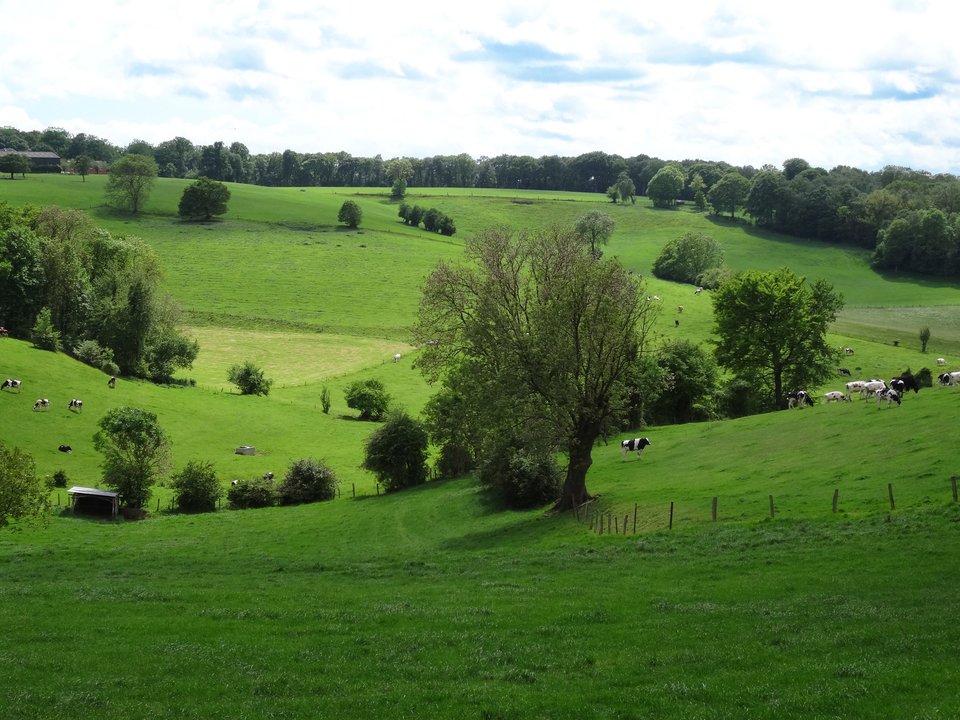 wandeling.jpg