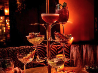 Cocktailboom zaandam