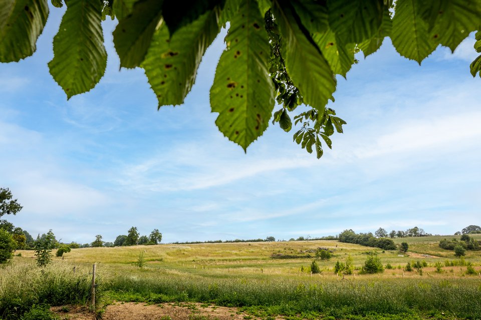 TOPS1493-Edit.jpg