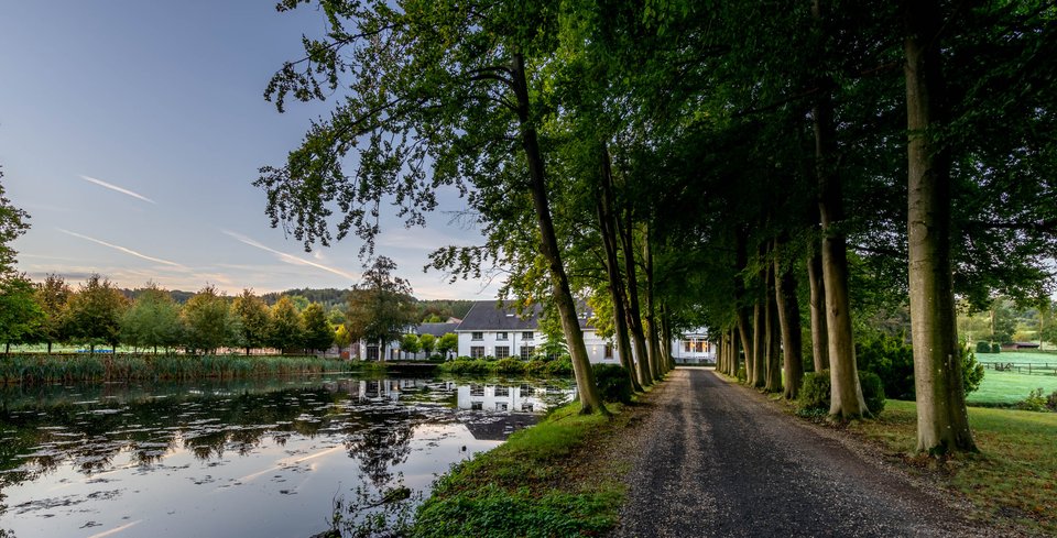 Voorjaar (16).jpg